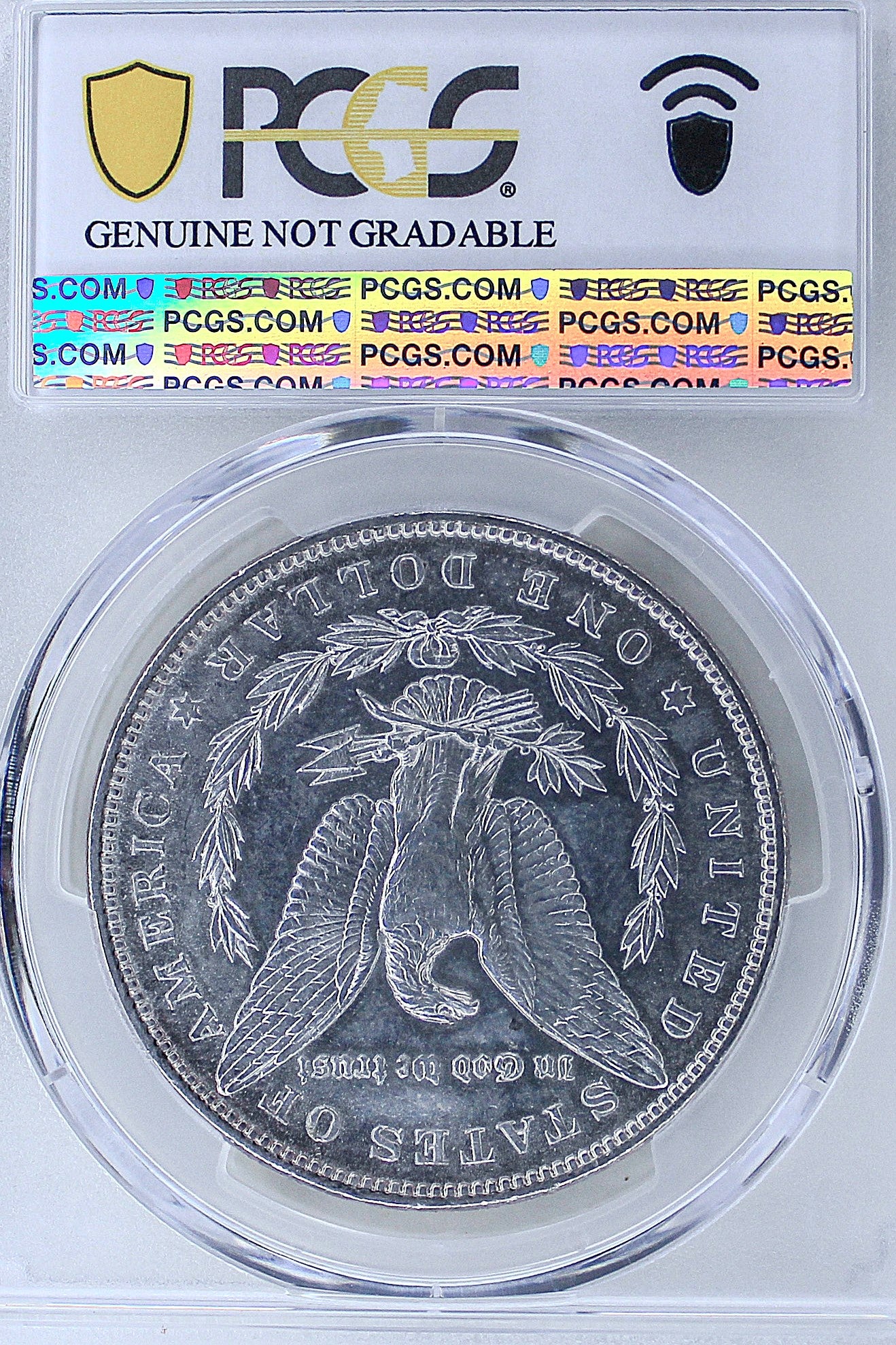 1896 Morgan Silver Dollar AU53